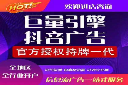 某某SEM团队成功案例：广告投放策略揭秘